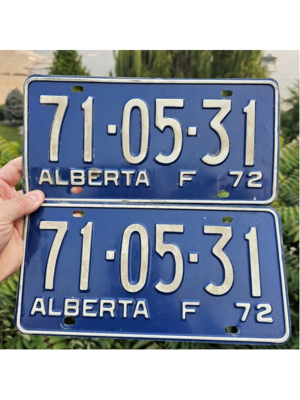 Vintage 1972 Alberta License Plate 71-05-31 Blue White Embossed Canada Original
